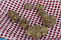 VBS_5588 - 10.ma Fiera Nazionale del Tartufo e Fiera dei Santi